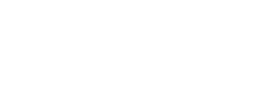 AIB Brescia